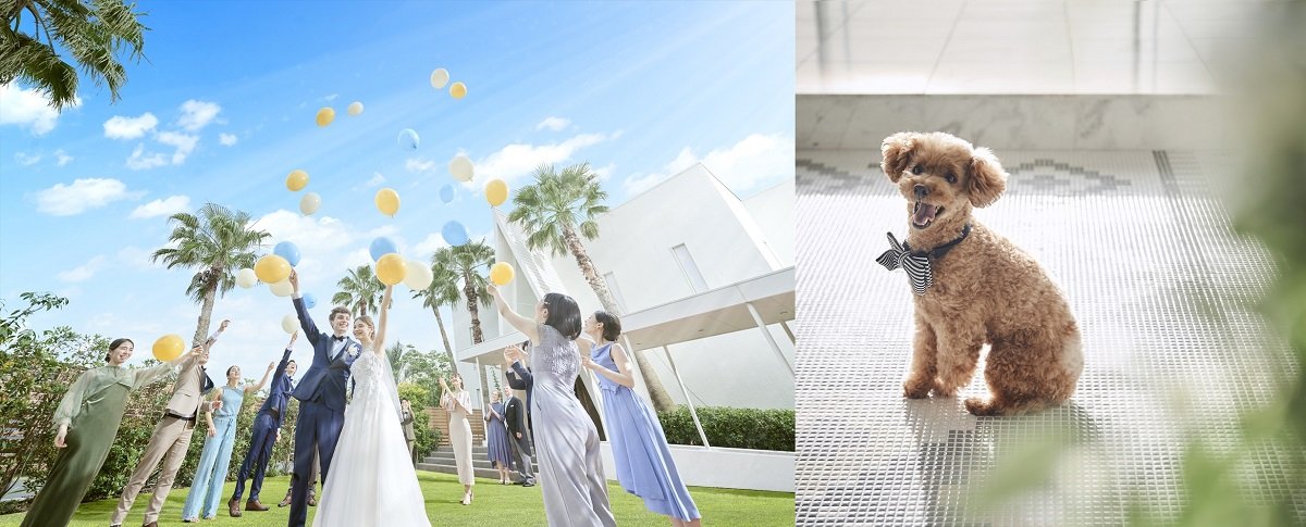 海まで10秒！絶景チャペル×貸切の結婚式場「オリゾンブルー」ガーデン